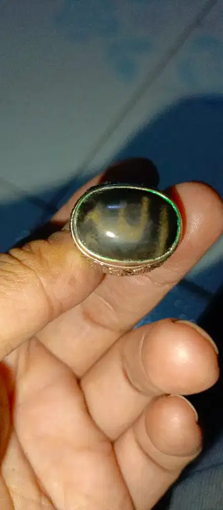 Fosil kelor motif lafadz Alloh natural