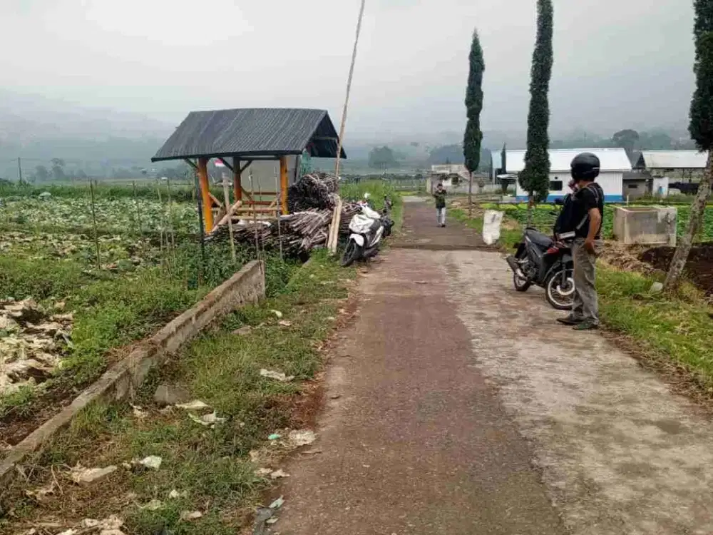 Tanah Cafe Pujon Kidul Malang