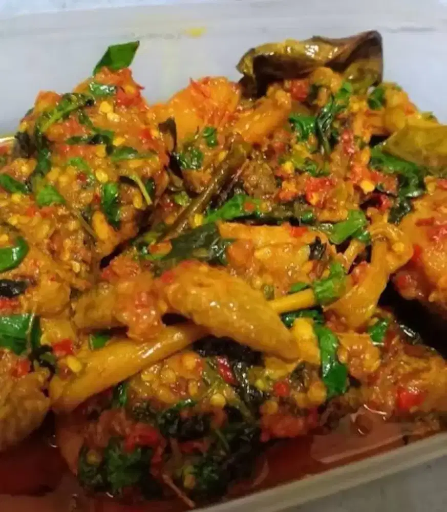 Khusus lauk RICA,RENDANG,GULAI.DLL