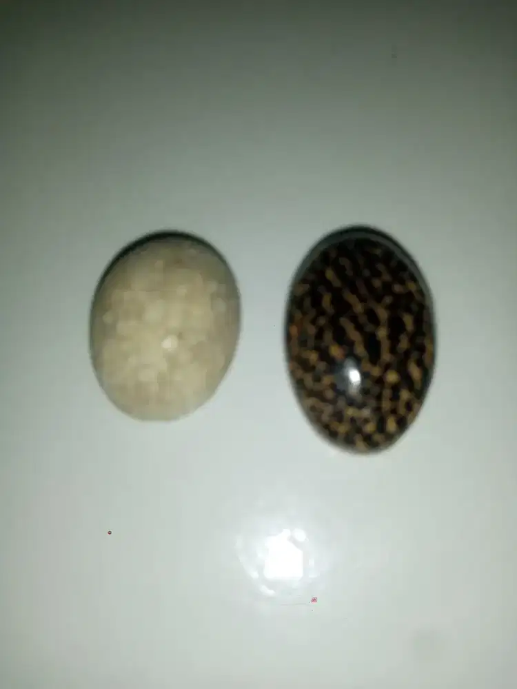 Batu pamendak dua nana