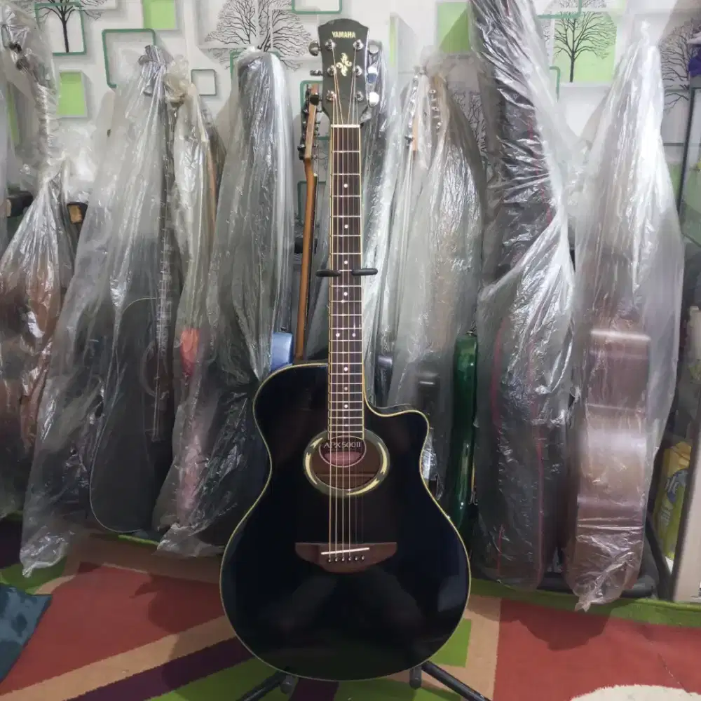 Yamaha apx500II original