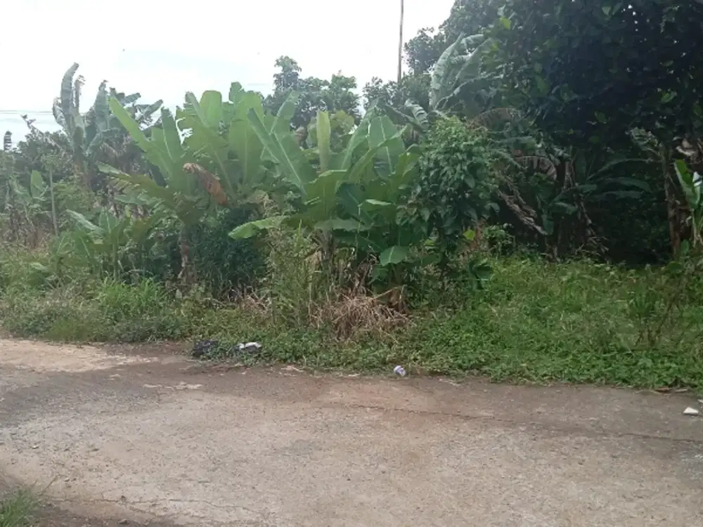 Jual Tanah SHM 430m2 di Cinangka sekolah insan Kamila jl anggrek