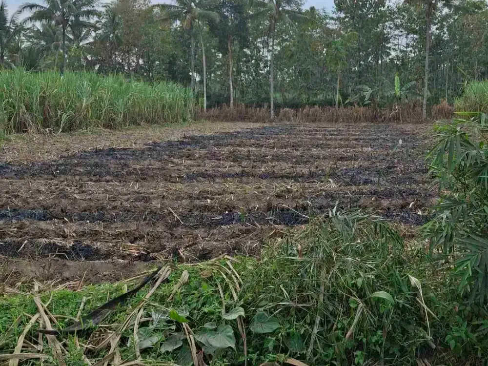 Tanah Kebun Murah Dekat Kota Malang