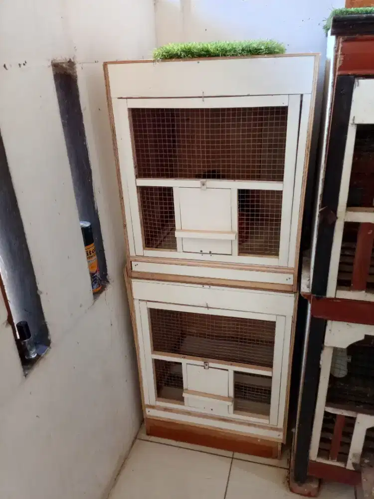 Kandang semi macan ukuran T60 L48 Lebar belakang 50