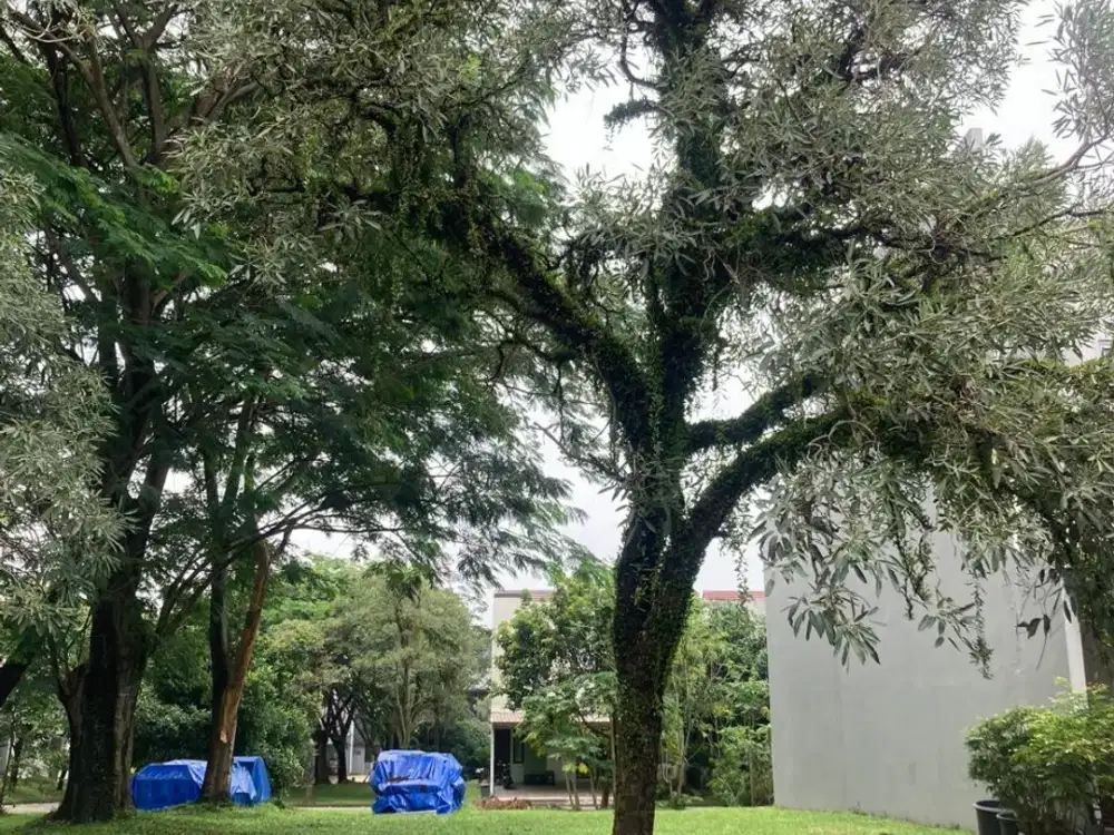 Jual kavling hoek verdant view the icon BSD bonus Fasum