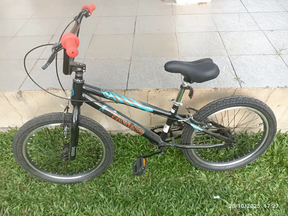 Sepeda Anak BMX 20