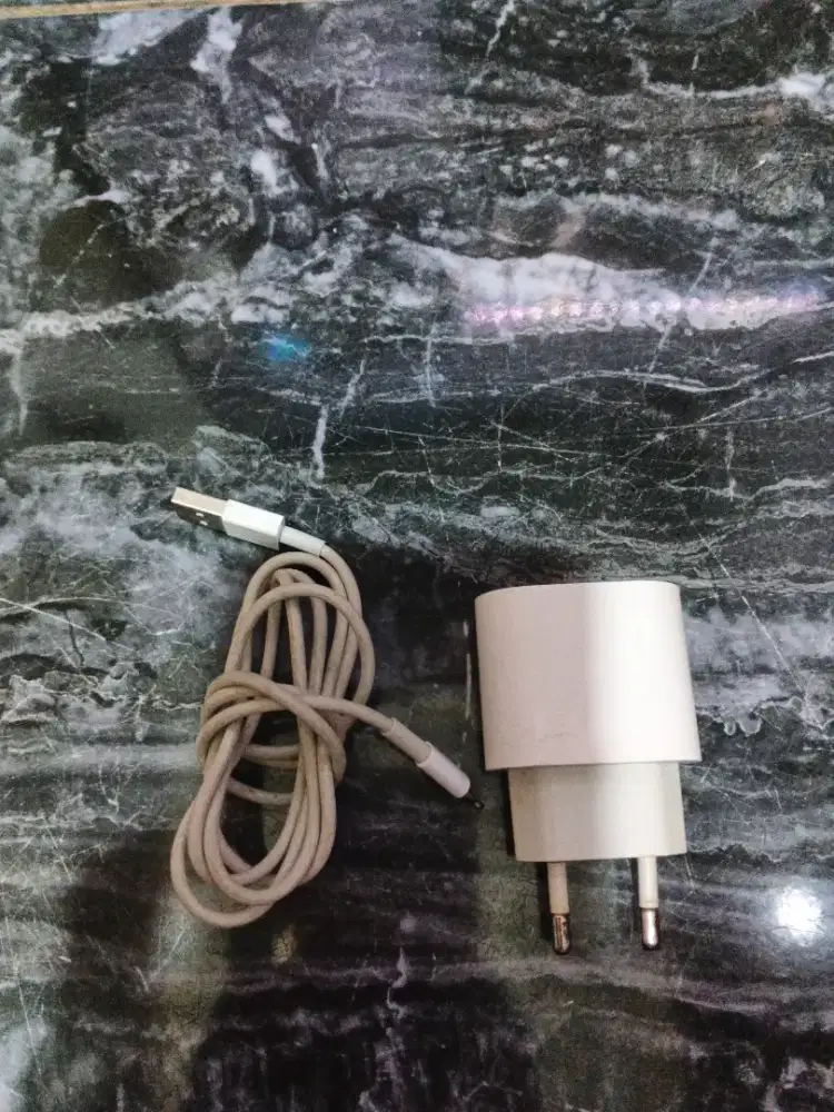 Charger iPhone ori