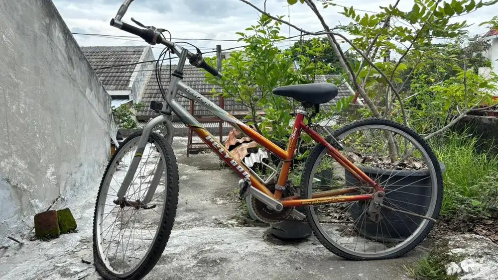 Sepeda Polygon Unitoga