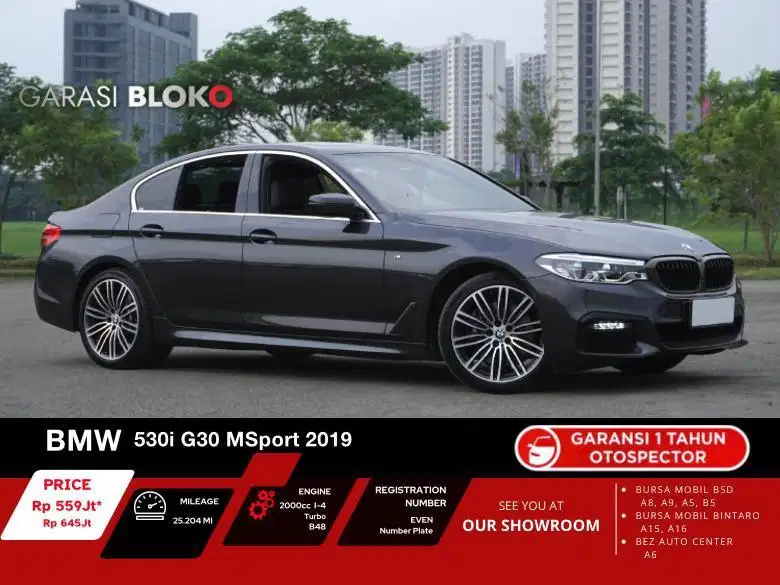 BMW 530i G30 MSport B48 2019 / 2020