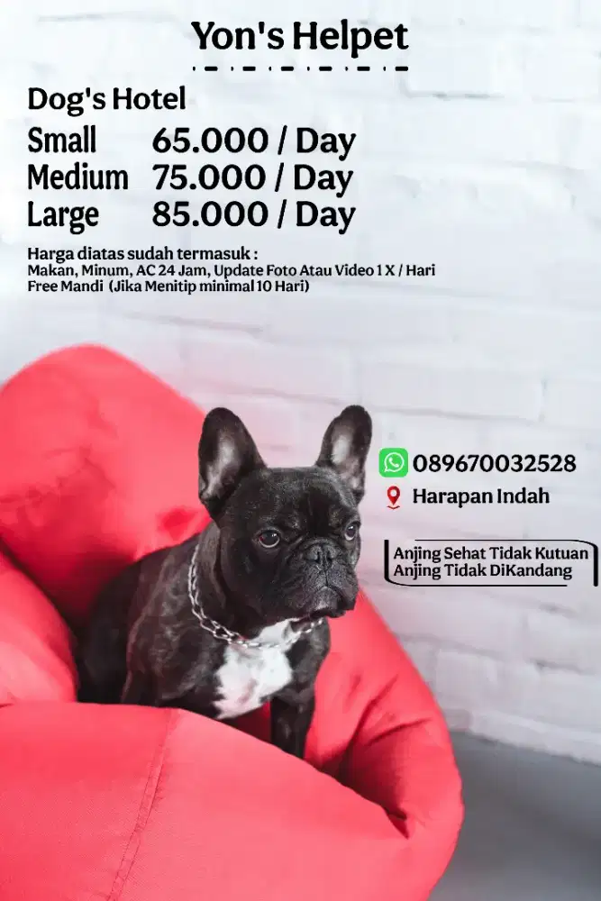 Penitipan Pemeliharaan Anjing TerPERCAYA