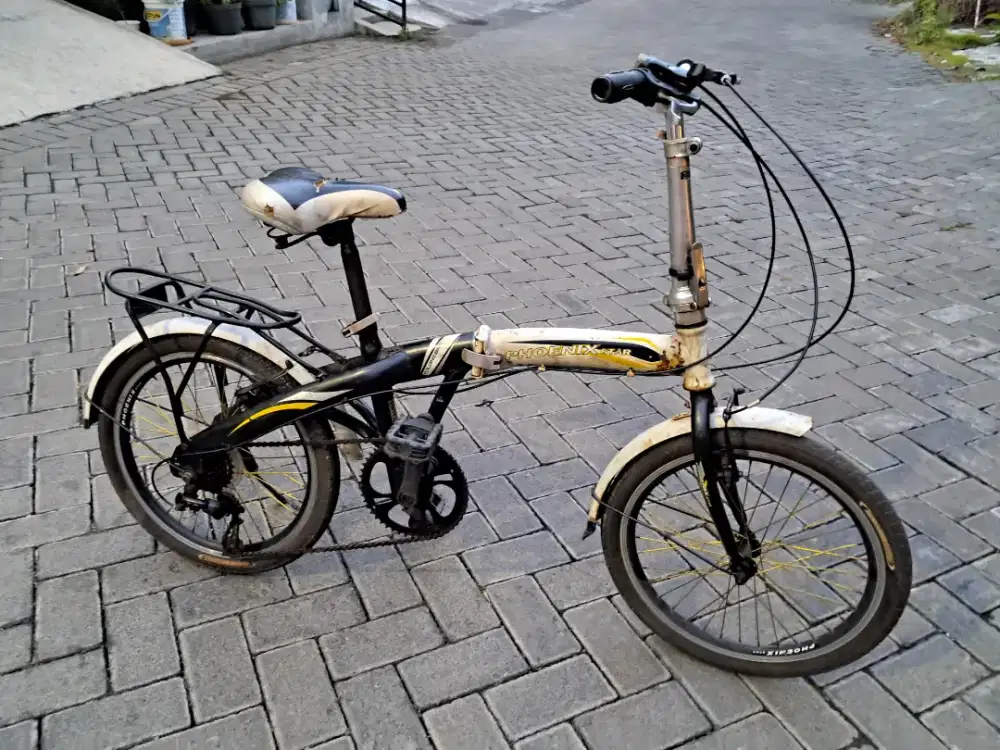 Seli Phoenix Star uk20