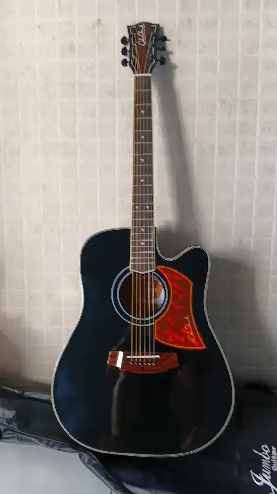 Gitar Akustik Elektrik merek Cole Clark