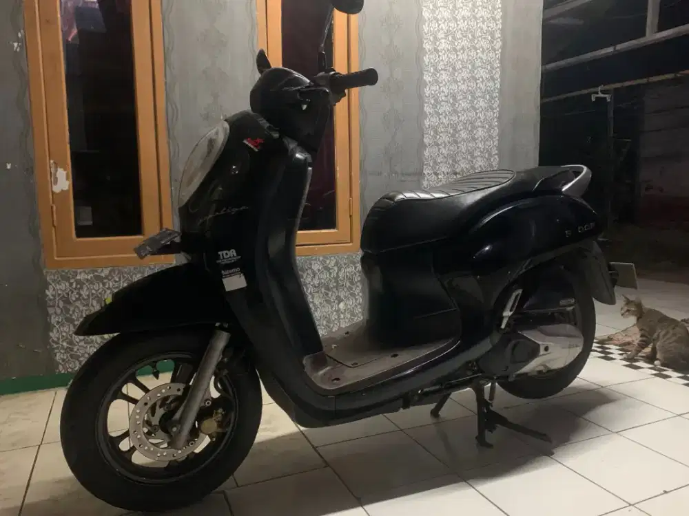 Scoopy pristage