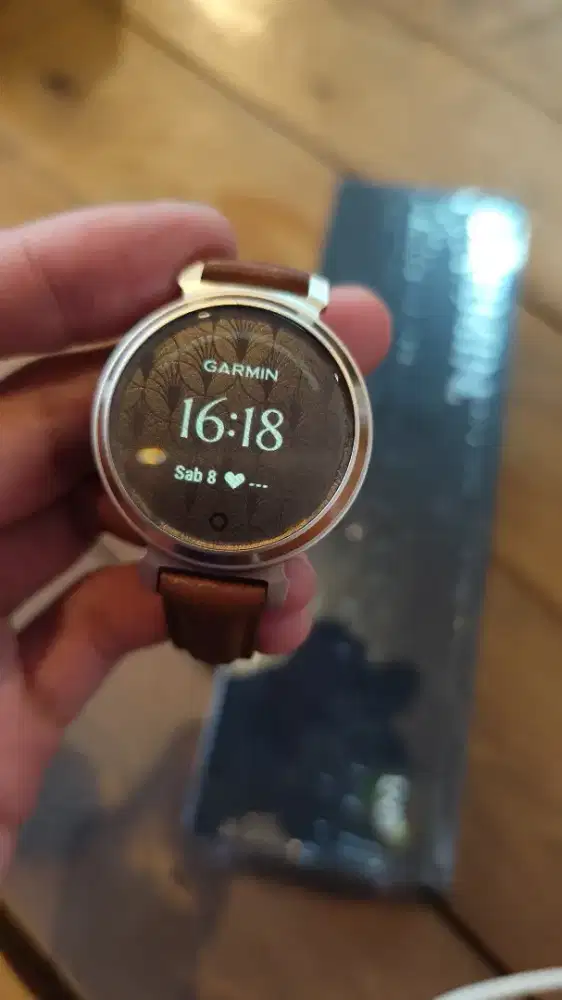 Garmin lily 2 classic