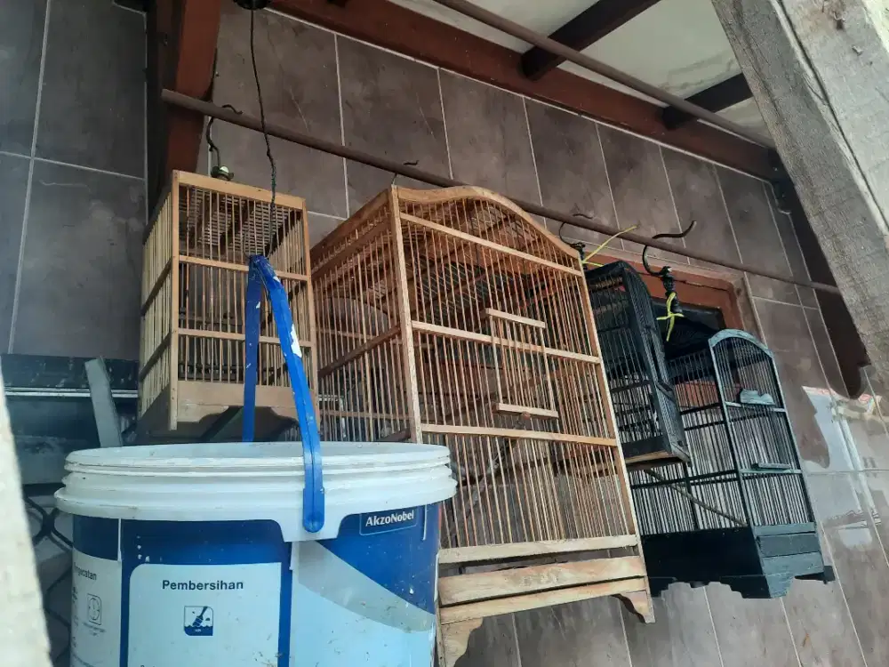 Dijual kandang kotak sangkar kotak