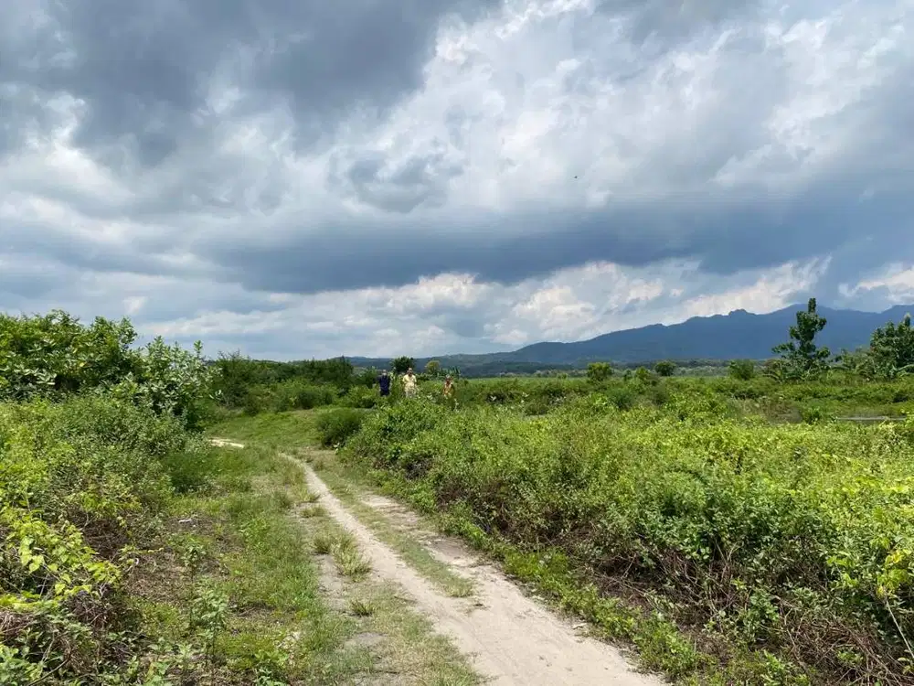 Tanah Kosong Strategis di Rembang - Jawa Tengah Pinggir Jalan Pantura