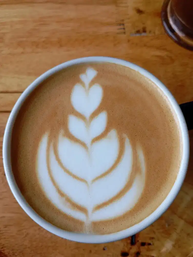 Barista / waiters / Sales Kopling