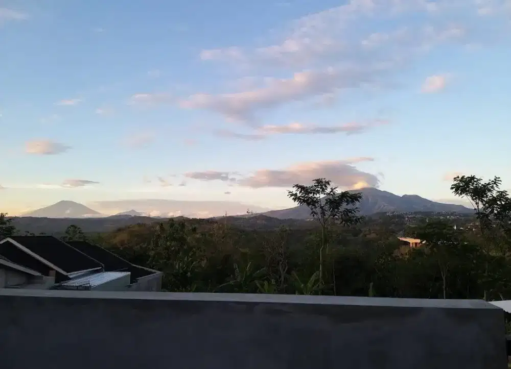 Tanah Strategis Dekat UNDIP Cocok Untuk Investasi, Hunian Dll