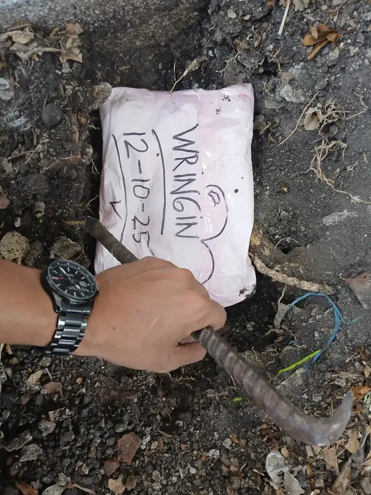 KUBUR KUCING ANJING PELIHARAAN