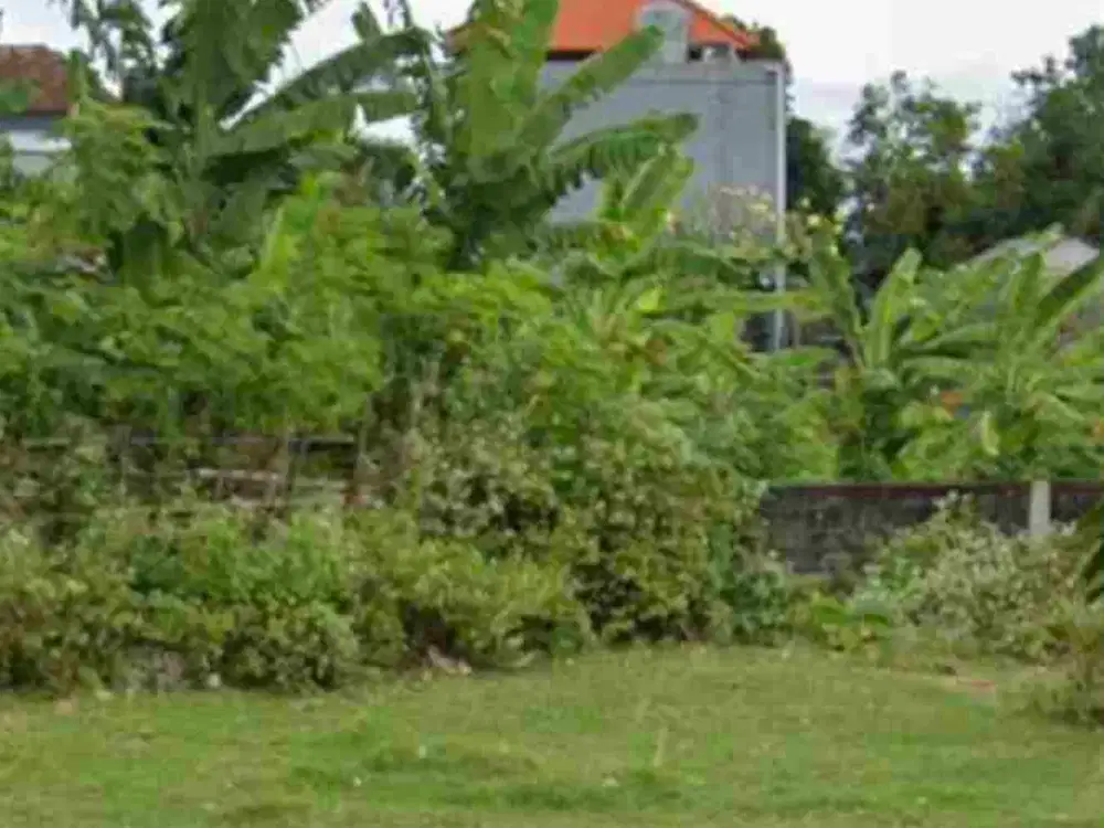 dijual tanah 21 are kawasan toyaning 1 Ungasan Badung Bali harga 580  juta /are