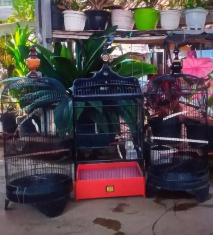 Sangkar besi bulat dan sangkar kotak oriq