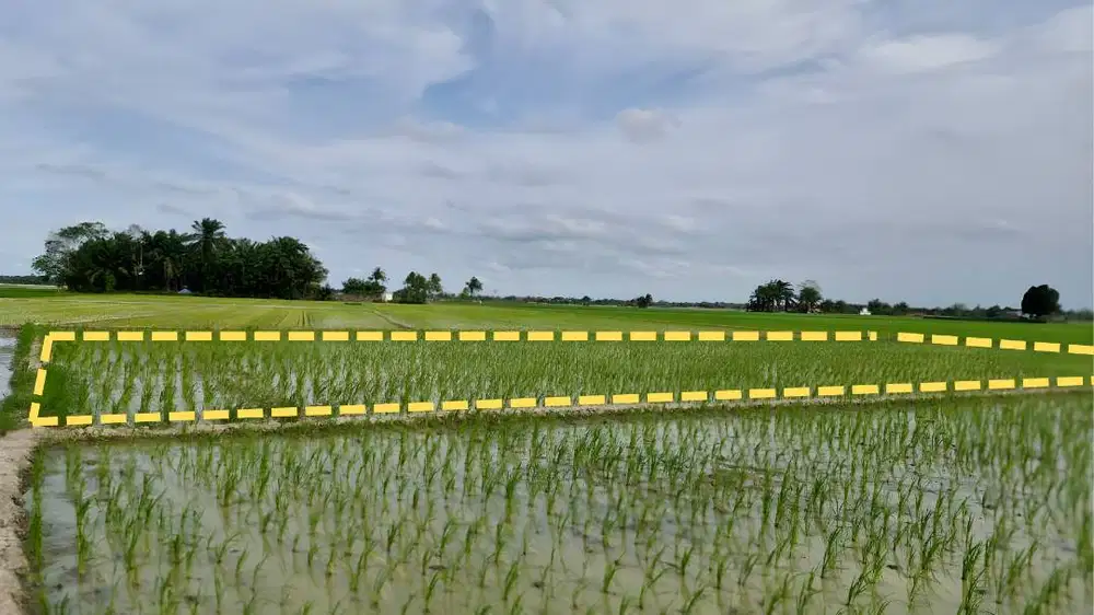 Jual Cepat! Tanah 1.377 m² Dekat Kualanamu