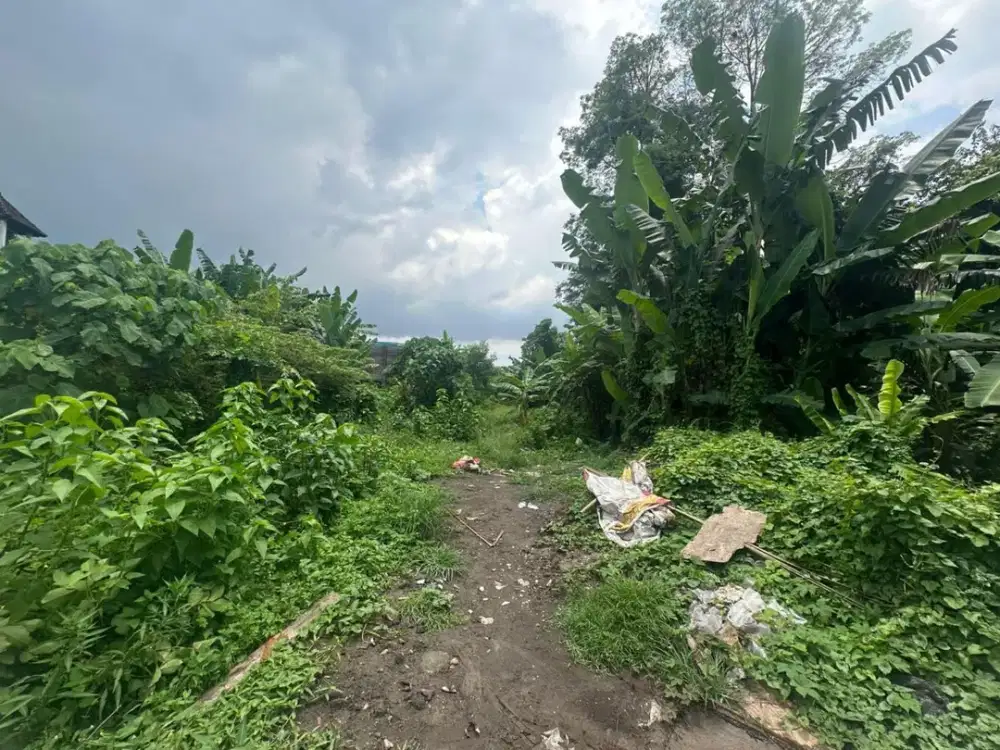Tanah Murah Dalung Kerobokan Badung