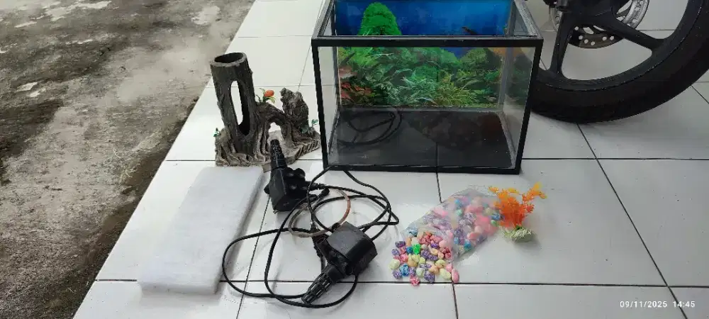 Paket Aquarium 36cm x 26cm x 23cm