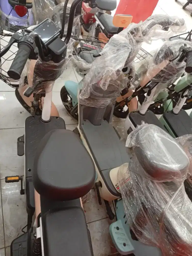 sᴇᴘᴇᴅᴀ ʟɪsᴛʀɪᴋ ᴘᴀsɪғɪᴋ ʀᴇʟɪᴄɪᴜs