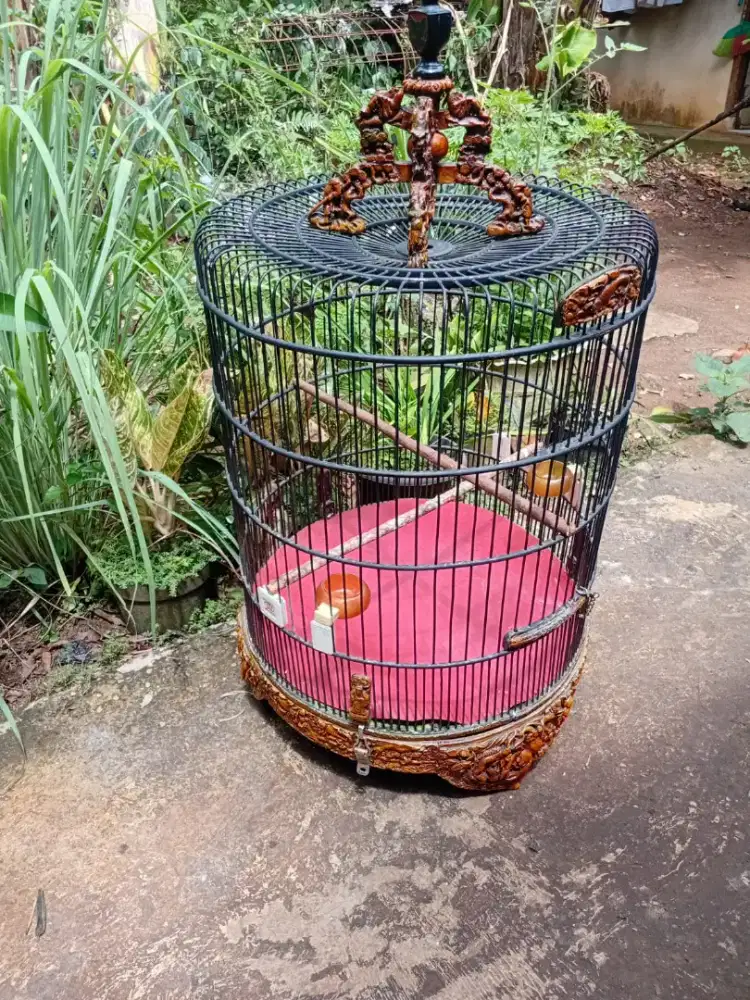 Di jual Sangkar burung merk cungkok