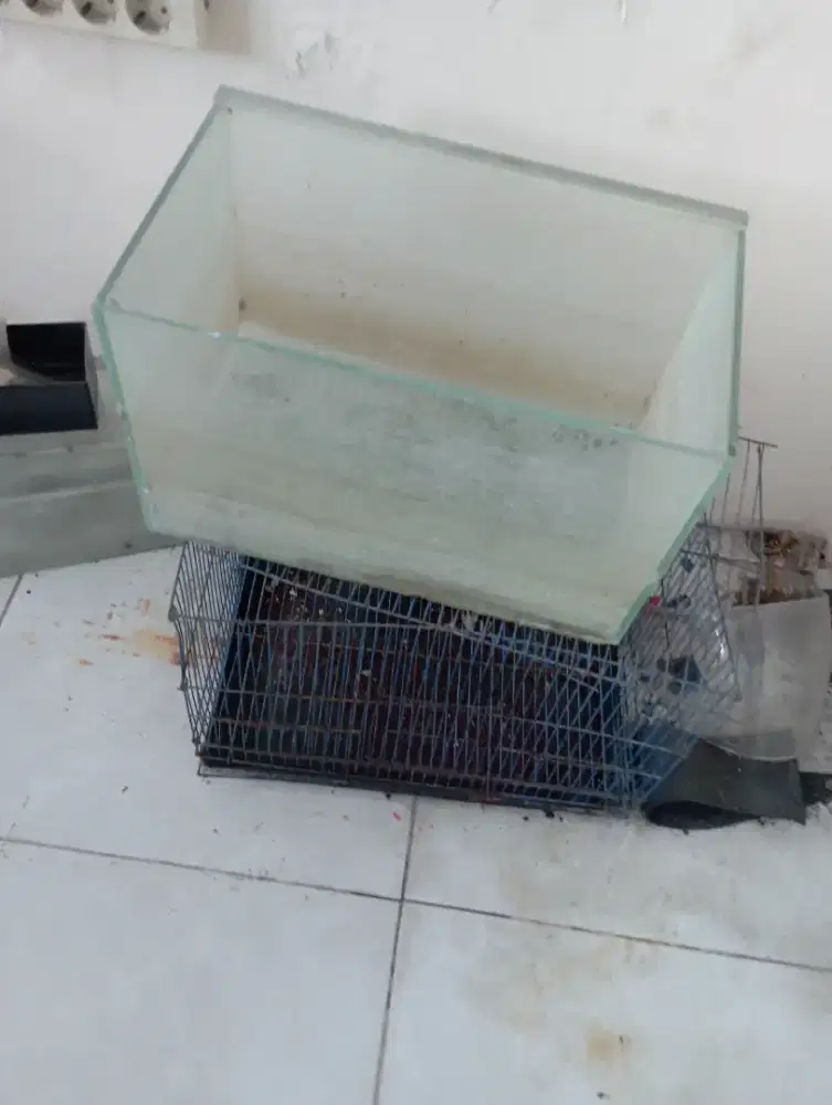 Aquarium ada 2 dan kandang kucing