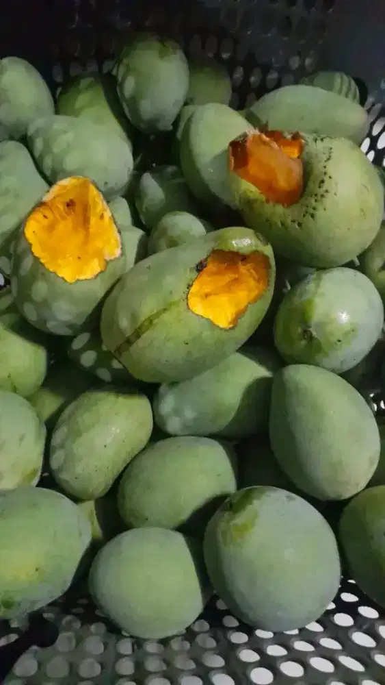 Mangga gadung manis