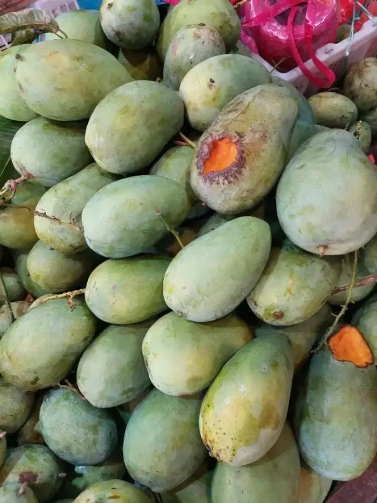 Mangga gadung manis bergizi