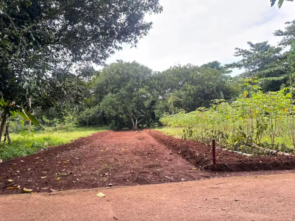 Tanah Murah di Sekitar Alun-Alun Edu Forest