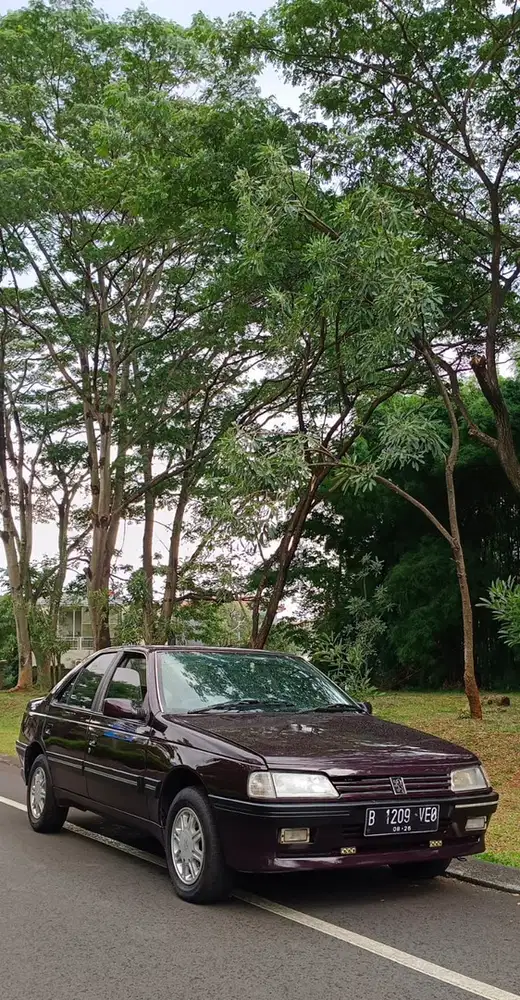 Peugeot 405 1995 Bensin