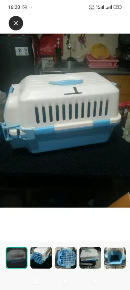 Kandang anjing ex ex pet kingdoom