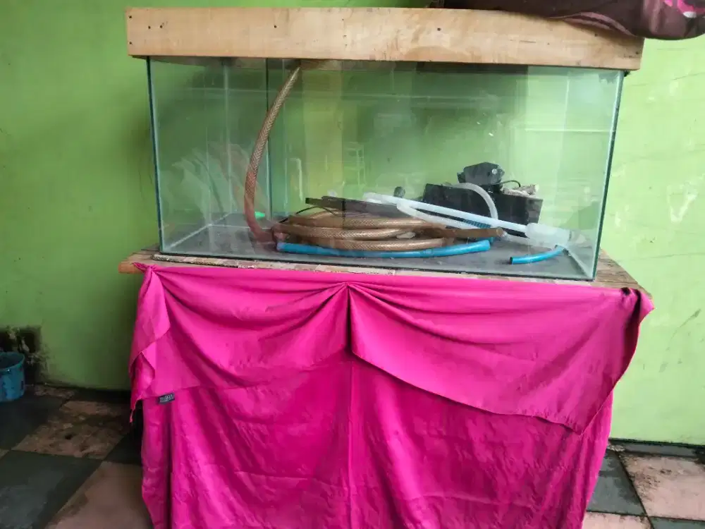Akuarium besar + meja