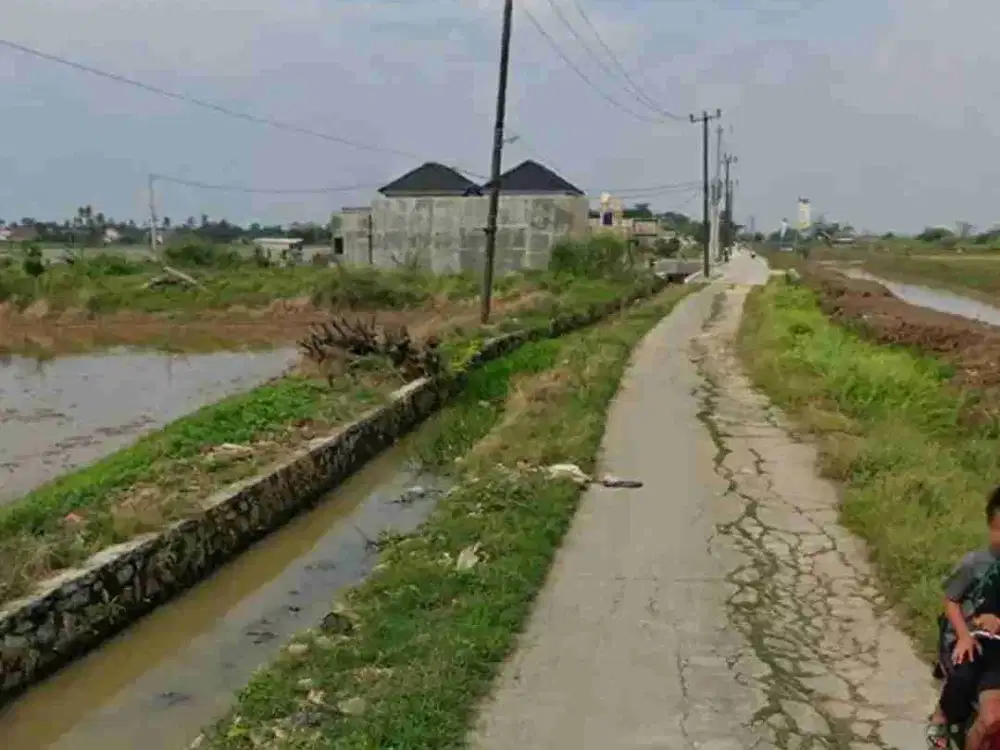 Tanah Sawah Di Tambelang Bekasi