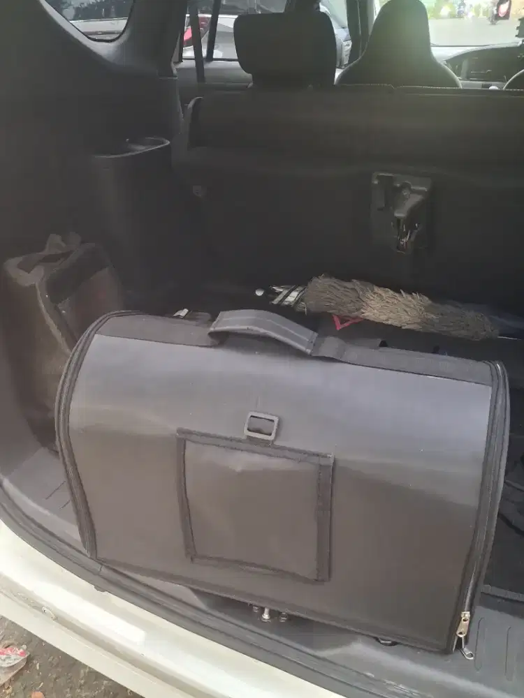 Tas Jinjing Anabul Kucing Hewan