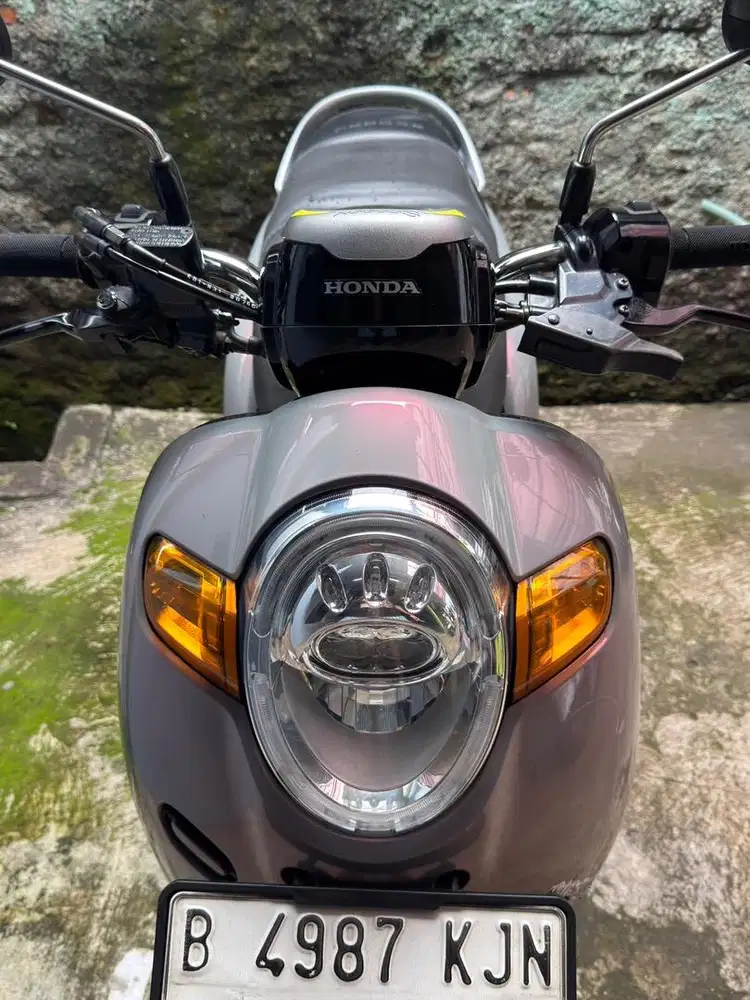 Honda Scoopy stylish 2018