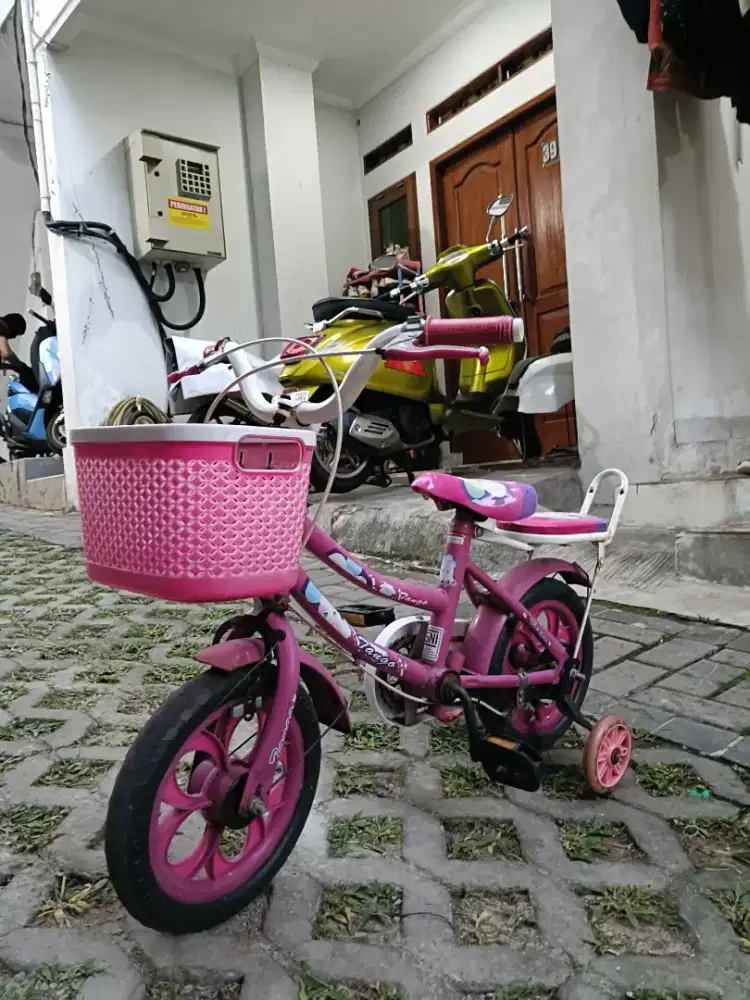 Sepeda anak perempuan