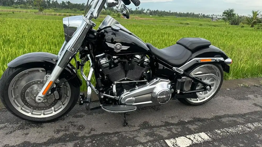 Harley davidson