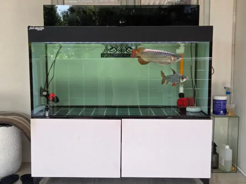 Aquarium Set 120 plus Arwana Super Red
