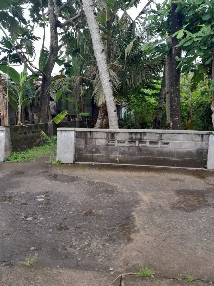 Dijual Tanah Pekarangan