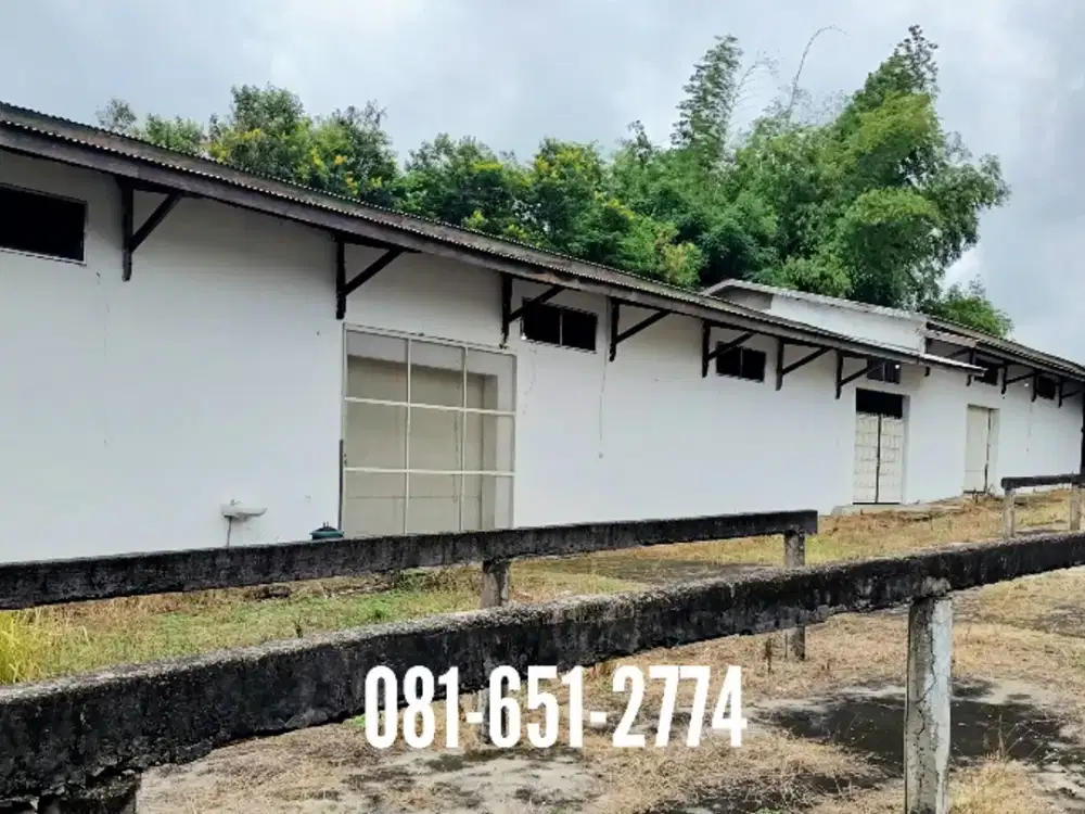 Pabrik Makanan di Mojokerto