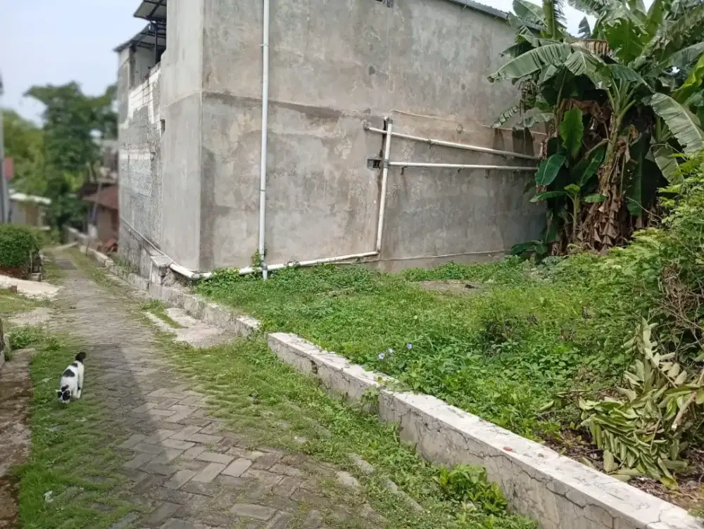 Tanah murah cocok untuk kos