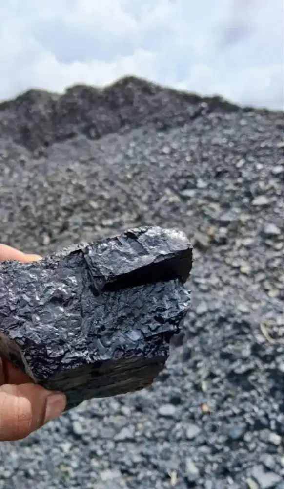 PT Sumber Niaga Barokah trader batubara