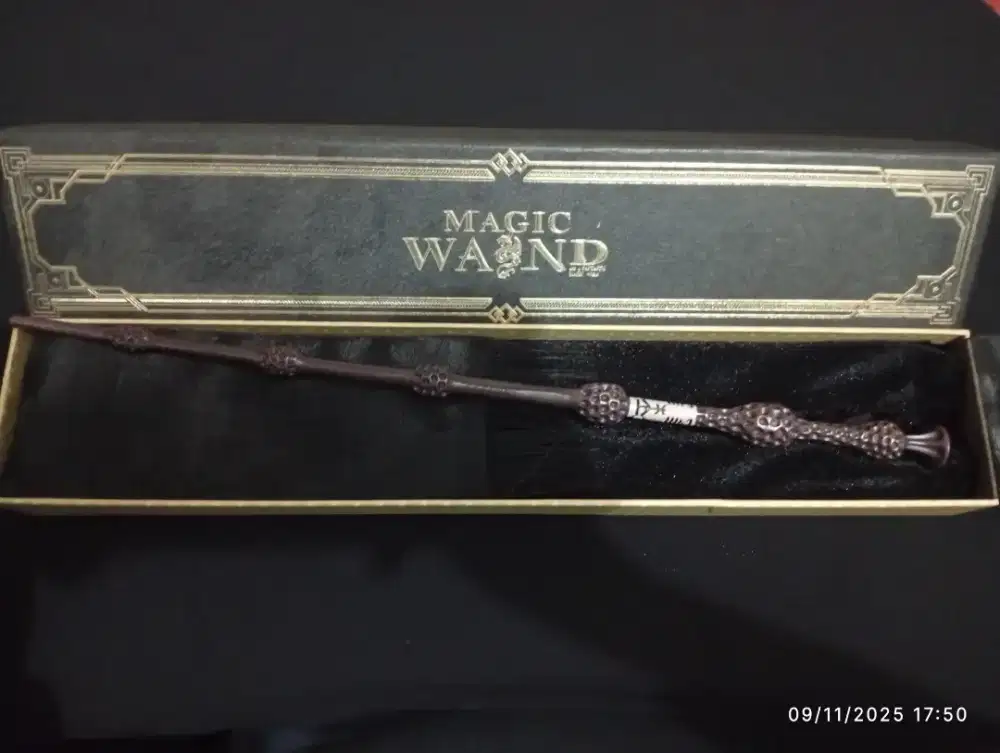 Tongkat Harry Potter punya nya Dumbledore