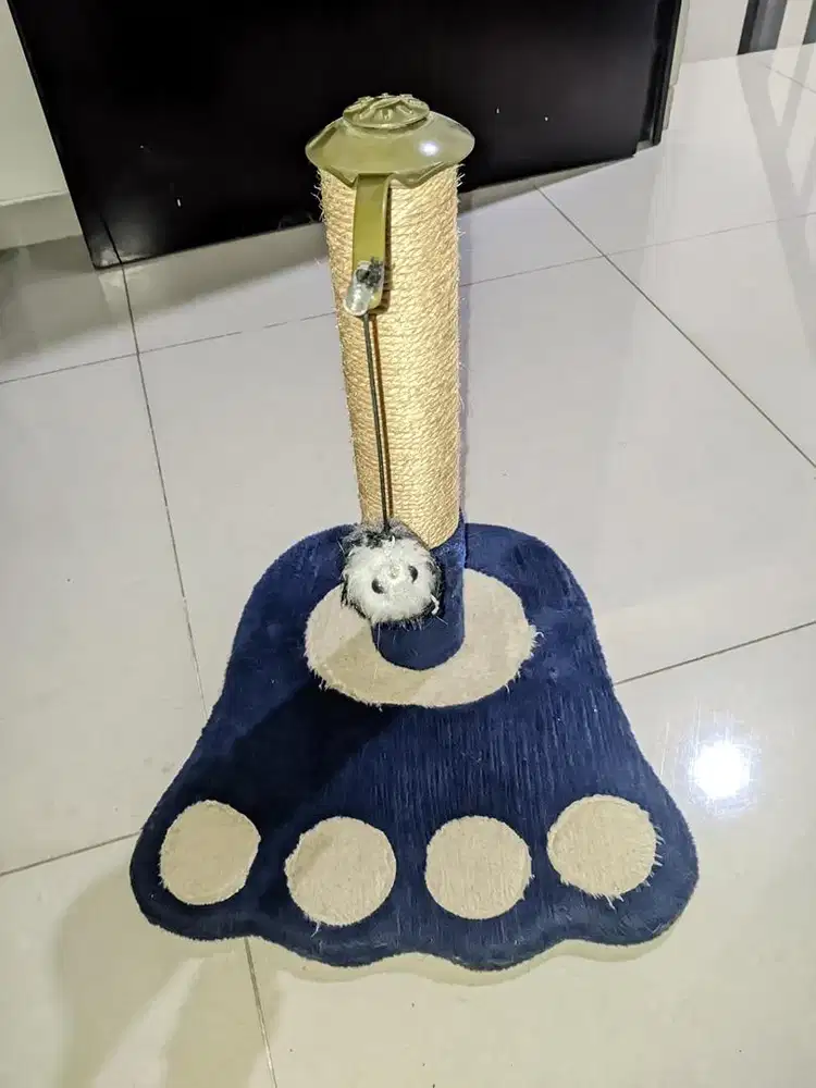 Dijual mainan kucing