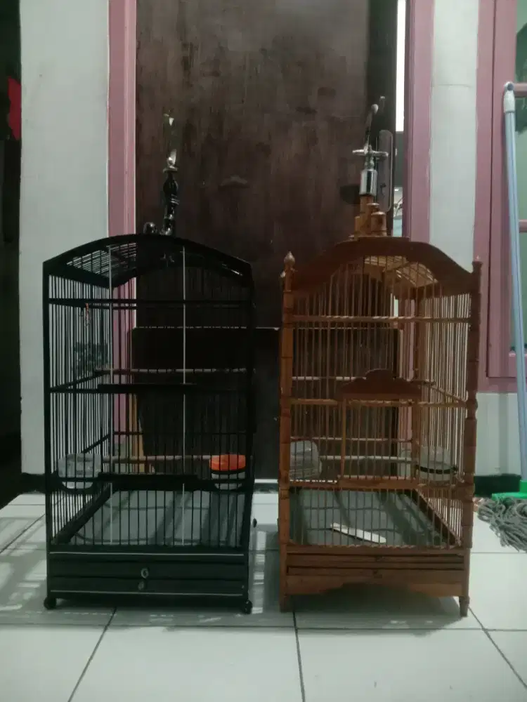 Kandang ada 2 kuat Bagus kekar pengen di jual atau di BT